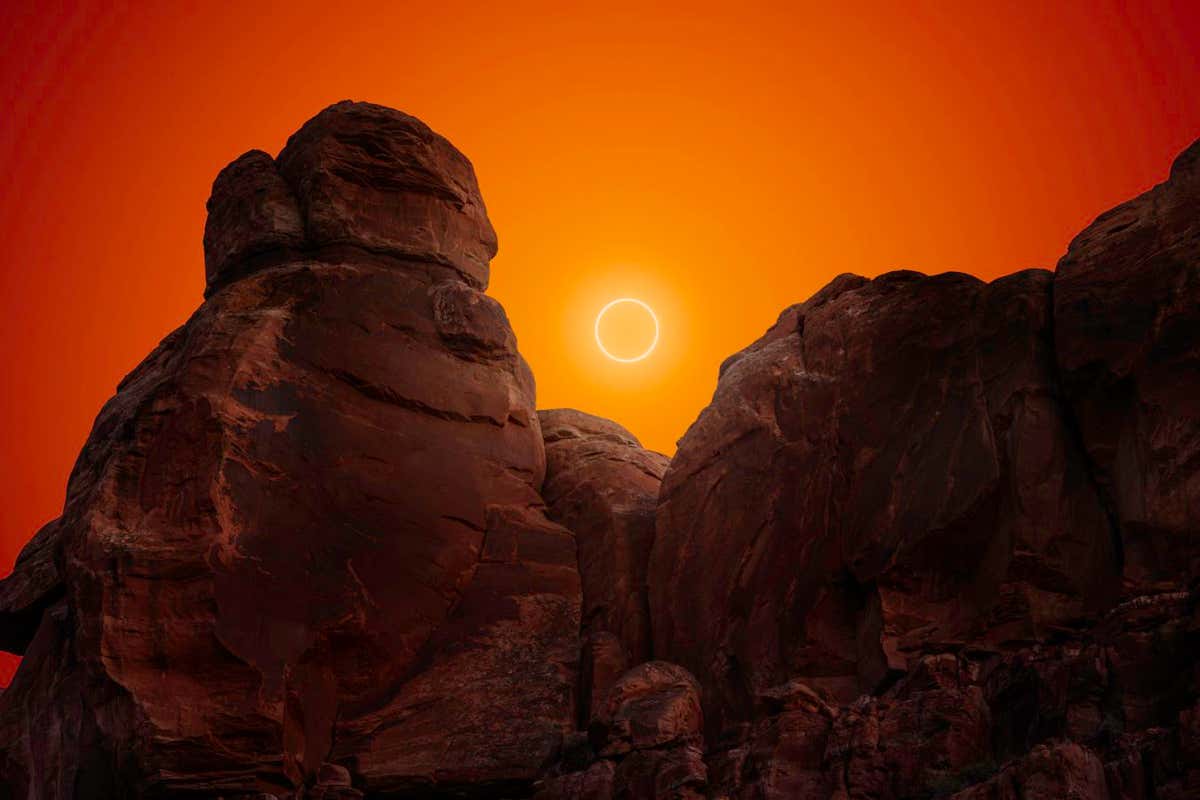 New Scientist Default Image